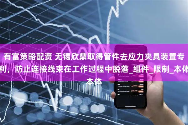 有富策略配资 无锡欣鼎取得管件去应力夹具装置专利，防止连接线束在工作过程中脱落_组件_限制_本体